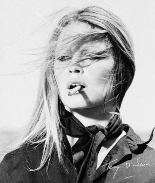 Terry O'Neill (Standard Edition)