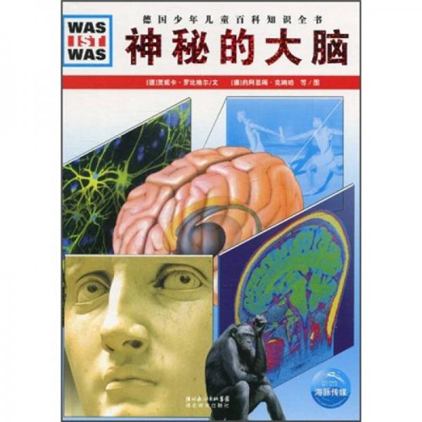 什么是什么：神秘的大腦