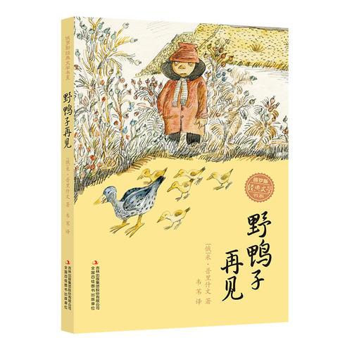 俄羅斯經(jīng)典文學(xué)書系 野鴨子再見