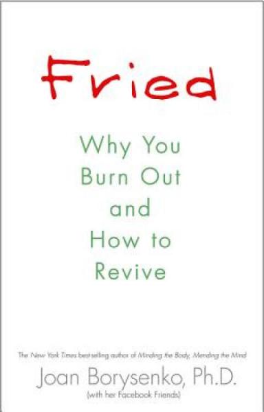 Fried:WhyYouBurnOutandHowtoRevive