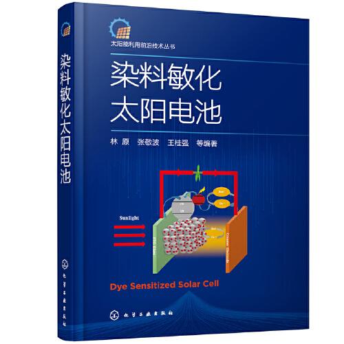 太陽能利用前沿技術(shù)叢書--染料敏化太陽電池