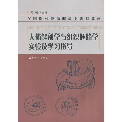 全國(guó)醫(yī)藥類高職高專規(guī)劃教材-人體解剖學(xué)與組織胚胎學(xué)實(shí)驗(yàn)及學(xué)習(xí)指導(dǎo)