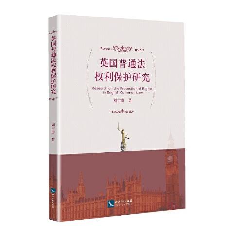 英國(guó)普通法權(quán)利保護(hù)研究