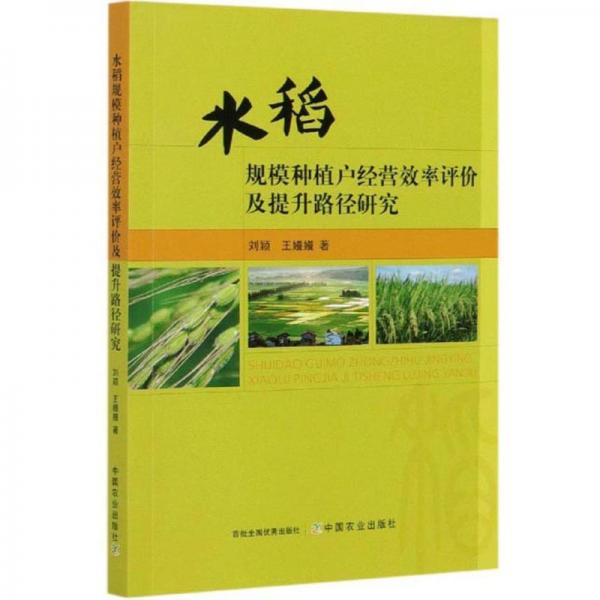 水稻规模种植户经营效率评价及提升路径研究