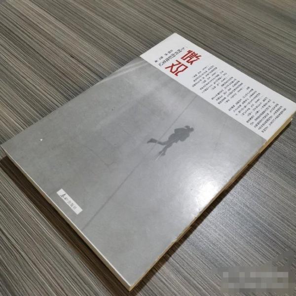 微觀 : 一個(gè)時(shí)代的影像筆記 : 2000～2009