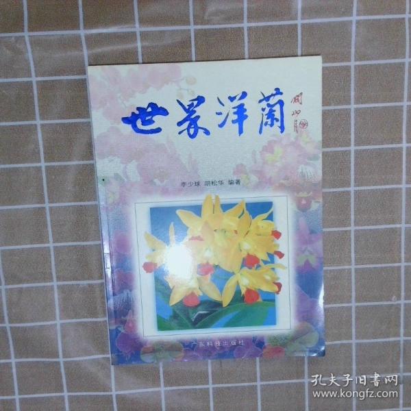 世界洋蘭