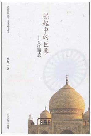 崛起中的巨象