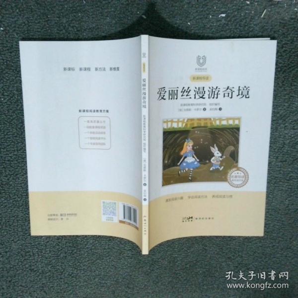 愛麗絲漫游奇境