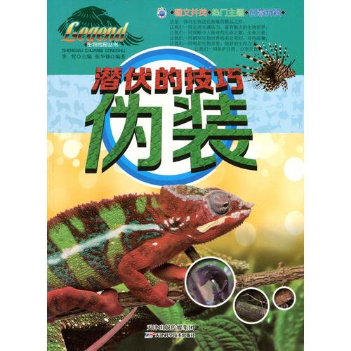 潛伏的技巧——偽裝