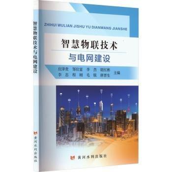 全新正版圖書 智慧物聯(lián)技術(shù)與電網(wǎng)建設(shè)應(yīng)澤貴黃河水利出版社9787550935594 黎明書店