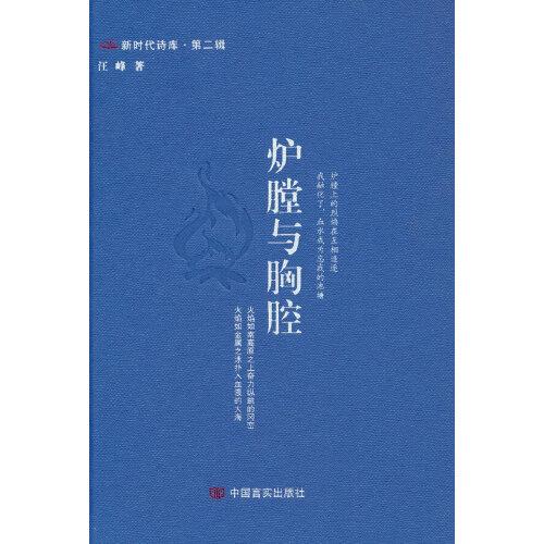 炉膛与胸腔 新时代诗库 