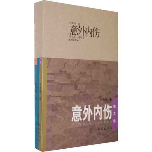 意外內(nèi)傷(全二冊(cè))