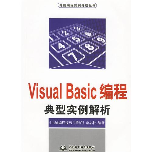 Visual Basic编程典型实例解析