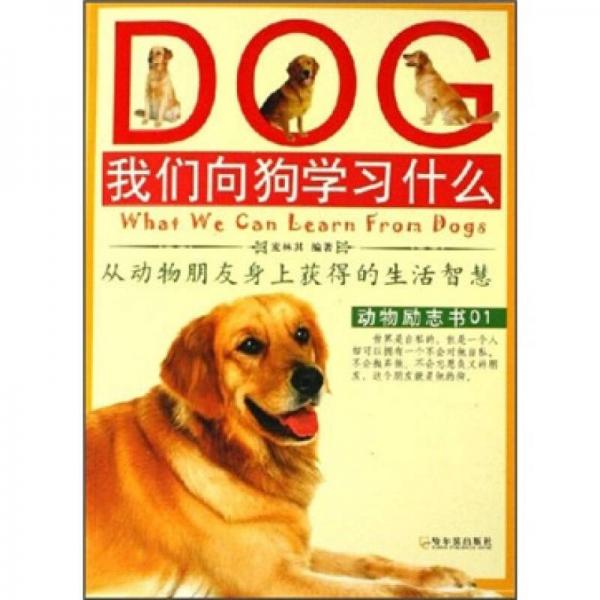 我們向狗學(xué)習(xí)什么