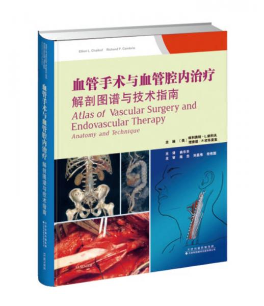 血管手術(shù)與血管腔內(nèi)治療：解剖圖譜與技術(shù)指南