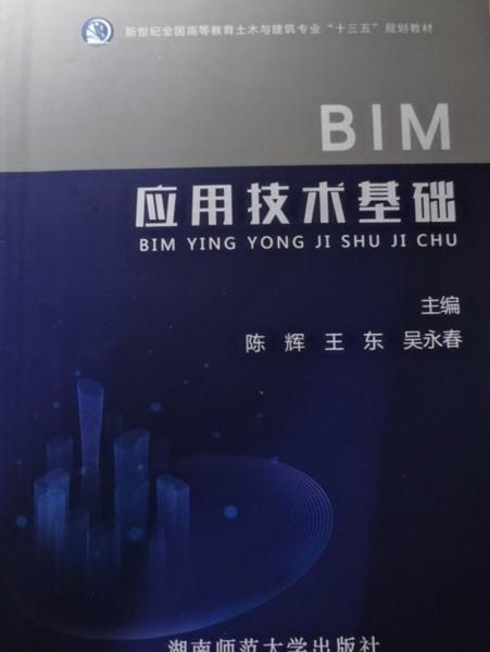 B丨M應用技術基礎陳輝.王東.吳永春湖南師范大學出版社9787564836825