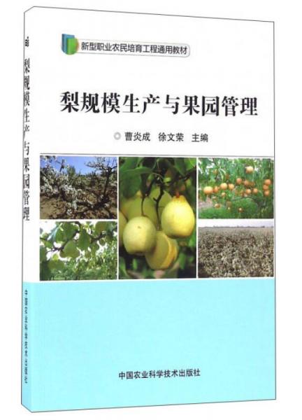 梨規(guī)模生產(chǎn)與果園管理