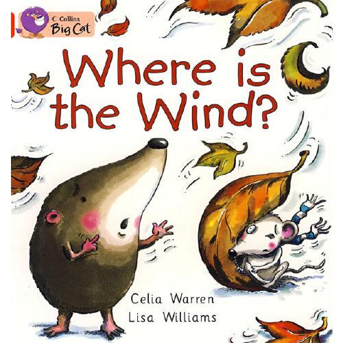 Where is the Wind?風(fēng)在哪兒？