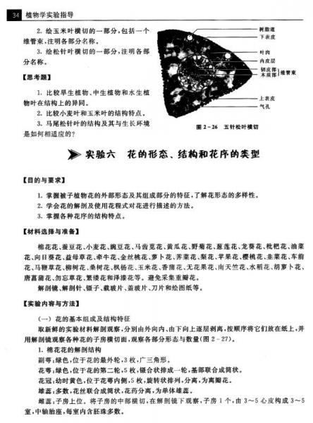 植物学实验指导