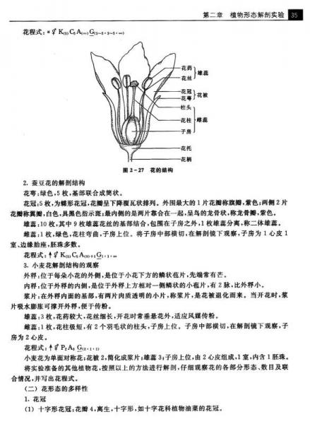 植物学实验指导