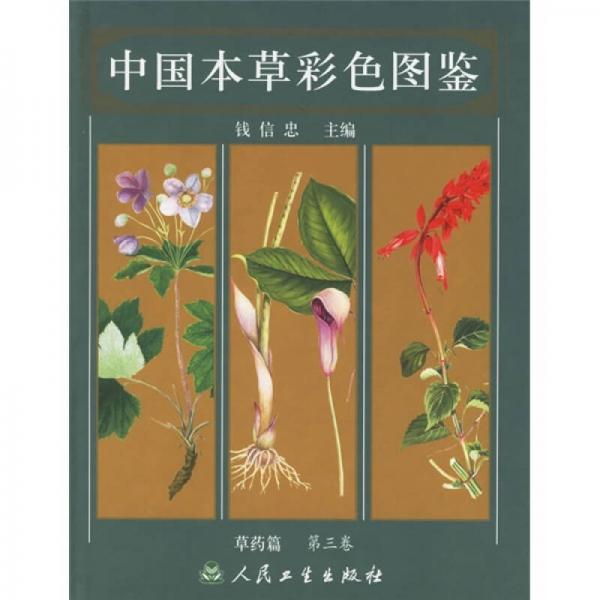 中国本草彩色图鉴：草药篇（第3卷）