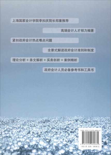政府會(huì)計(jì)：理論、實(shí)務(wù)與案例精析