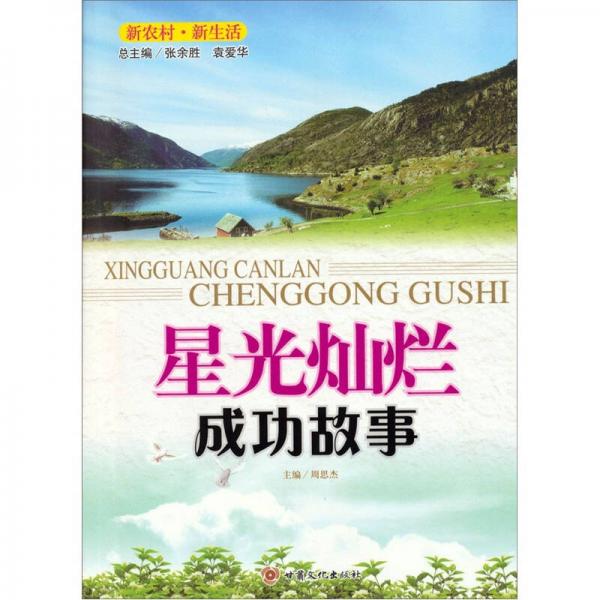 星光燦爛（成功故事）