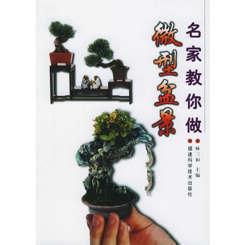 名家教你做微型盆景