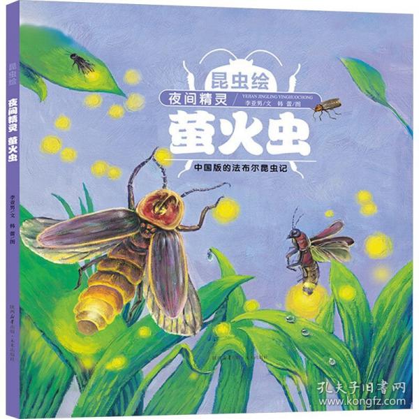 昆虫绘系列 夜间精灵——萤火虫