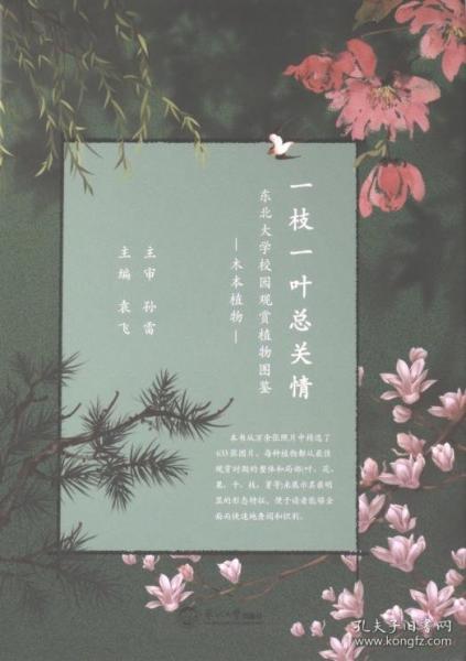 一枝一葉總關情
