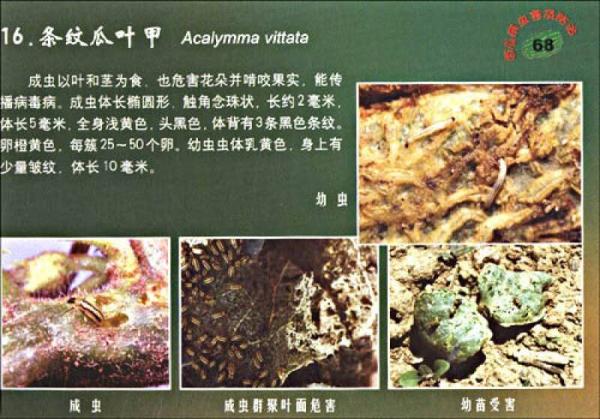 西瓜病虫害及防治原色图册