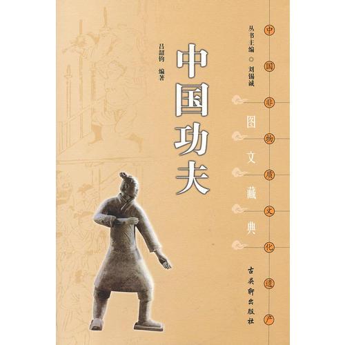 中国非物质文化遗产文藏典丛书《中国功夫》