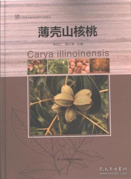 薄殼山核桃