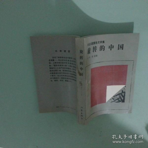 旋轉(zhuǎn)的中國:社會問題報告文學集