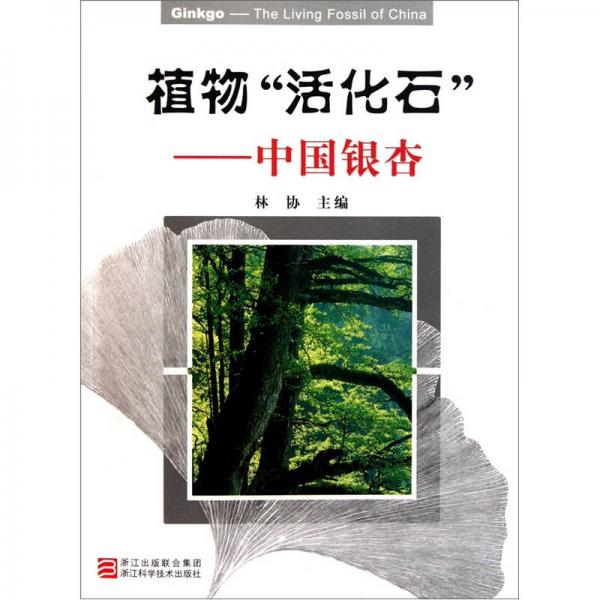 植物活化石：中國(guó)銀杏
