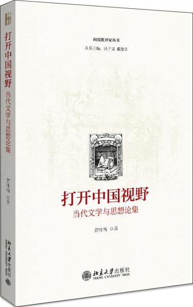 打开中国视野——当代文学与思想论集