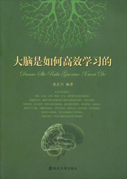 大腦是如何高效學(xué)習(xí)的