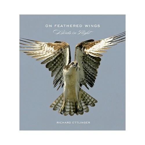 On Feathered Wings  Birds in Flight