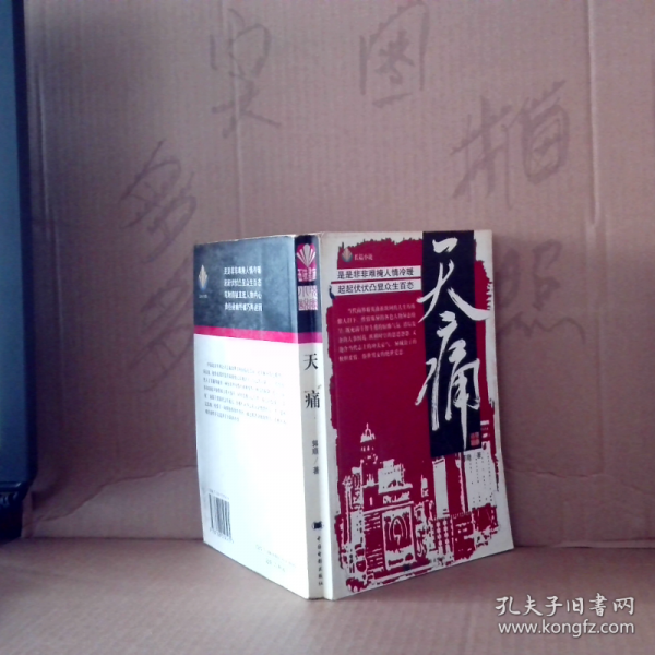 天痛:中國(guó)當(dāng)代現(xiàn)實(shí)小說