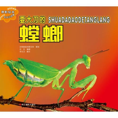 樂樂小動物：耍大刀的螳螂