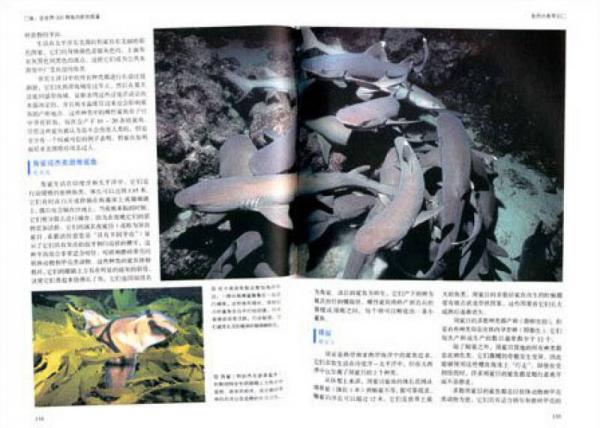 鱼：全世界300种鱼的彩色图鉴—超值全彩白金版