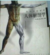 人體解剖學(xué)