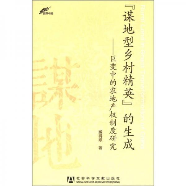 謀地型鄉(xiāng)村精英的生成（田野中國）