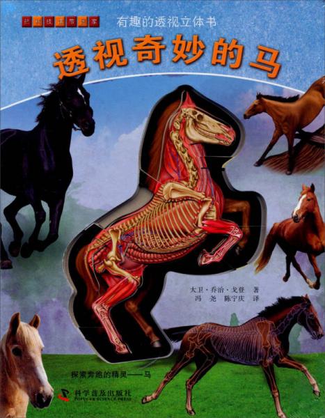 有趣的透视立体书有趣的透视立体书：透视奇妙的马