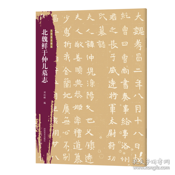 北朝墓志精選 北魏鮮于仲兒墓志
