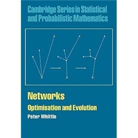 Networks:OptimisationandEvolution(CambridgeSeriesinStatisticalandProbabilisticMathematics)