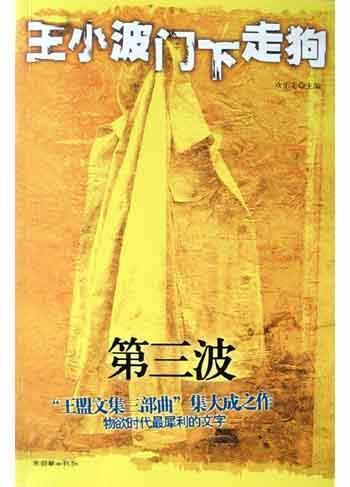 王小波門下走狗·第三波