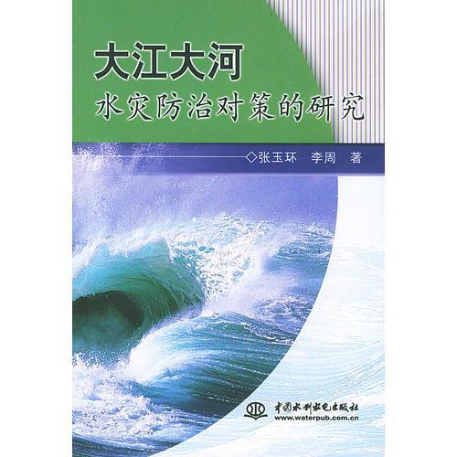 大江大河水災防治對策的研究