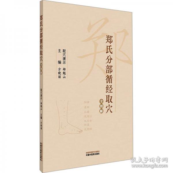 郑氏分部循经取穴全图解