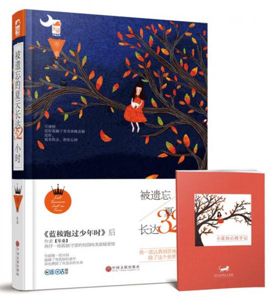 被遺忘的夏天長(zhǎng)達(dá)32小時(shí)（繼 藍(lán)桉跑過少年時(shí) 后 岑桑 再抒校園純美懸疑愛情）